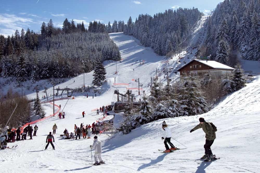 Chalet Les Camelias Spa Жерарме Экстерьер фото